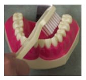 How to Brush Your Teeth Brite Smiles Dentistry dentist in Flower Mound, Tx Dr. Deepika Salguti DMD